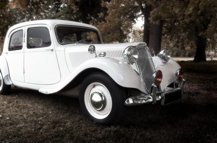 EXOTIC AND ANTIQUE VEHICLES